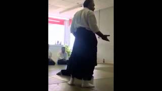 DAITORYU AIKIJUJUTSU principles [upl. by Elad]