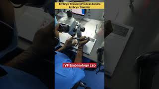 Embryo thawing process before Embryo Transfer in IVF embryology embryologist ivfprocess medical [upl. by Nivlem769]