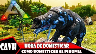 Ark survival evolved ¿Cómo tamear phiomia ¿cómo domesticar la phiomia ¿para qué sirve la phiomia [upl. by Rooney]