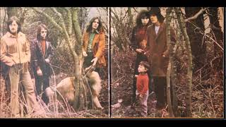 FAIRPORT CONVENTION FLATBACK CAPER From LP FULL HOUSE 1970 [upl. by Rosenzweig861]