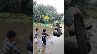 😭 Sape Khelo Re  সাপে খেলো রে 😰 🪱 🕊️ snake attack water help birds viralvideo shorts [upl. by Cirderf]