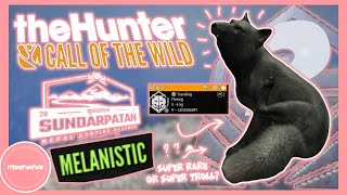 9LEGENDARY MELANISTIC Tibetan Fox On Sundarpatan 😱  theHunter Call of the Wild [upl. by Kelda]