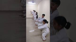 Karate warm exercise tutorial up dwon  short [upl. by Sarena]