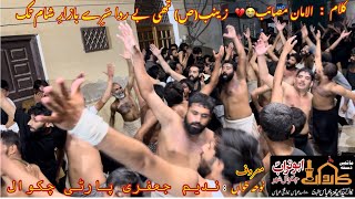 Zainab sa thi be rida bazar e sham tak Nohakarwan e AbuTurab sa chakwalNadeem jaferi party chkl [upl. by Faustina451]