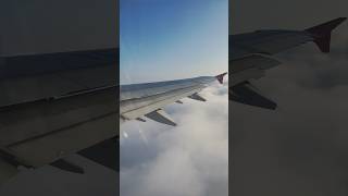 Capturing fluffy moments  Plane journey  Loyal9vlogs [upl. by Ugo]