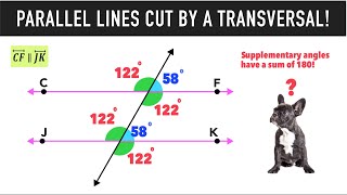 Parallel Lines Cut by a Transversal amp Angle Relationships [upl. by Burkhard396]