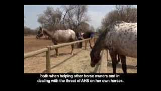 Eko Ondersoek  African Horse Sickness [upl. by Ttihw962]