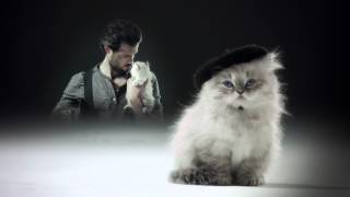 Sauza Tequila  Fireman and Kitten Amazingness HD [upl. by Ahsemot138]