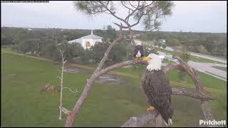 Thanksgiving Blessing Mom and Dad SWFL Eagles [upl. by Anaet648]