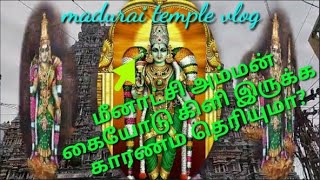 Madurai Meenakshi Amman temple  why Meenakshi Amman having parrot madurai vlog kalpaktamil [upl. by Akerboom]