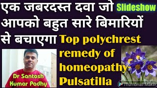 PulsatillaThe best polychrest remedy of homeopathy for many acute and chronic diseases [upl. by Nesiaj]