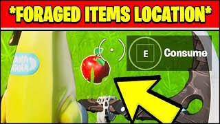 CONSUME FORAGED ITEMS  FORAGED ITEMS LOCATIONS Fortnite Chapter 2 Week 5 [upl. by Franklyn]