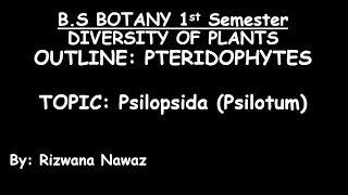 Psilopsida Psilotum by Rizwana Nawaz [upl. by Oniratac]