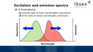 Fluorescence Spectroscopy Tutorial  Basics of Fluorescence [upl. by Aholla]