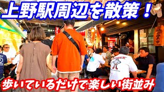 【巨大繁華街】上野駅周辺を散策！東京都台東区Japan Walking around Ueno Station [upl. by Trbor]