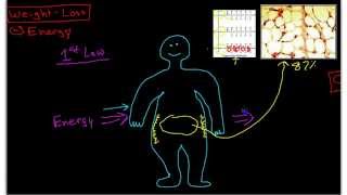 Science of WeightLoss Pathophysiology of Obesity [upl. by Yatnod]