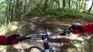 Surrey Hills MTB  Secret Santa trail Winterfold Hill MTB May 2016 HD [upl. by Tempa]