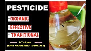 HOW to make Organic PESTICIDE at home POWERFUL MULTIPURPOSE EASY [upl. by Myrtia319]