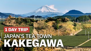 Exploring Japans Tea Town Kakegawa in Shizuoka  japanguidecom [upl. by Oilicec]