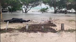 Effects from Tropical Storm Cristobal felt in Belize [upl. by Barr]