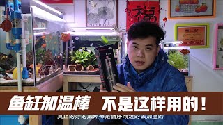 氣溫下降臨時加入加溫棒會出現什麽問題，你了解魚缸加溫嗎？ [upl. by Ilona]