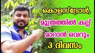 കൊളസ്‌ട്രോൾ മൂത്രത്തിൽ കല്ല് മാറാൻ വെറും 3 ദിവസം Cholesterol malayalam tips [upl. by Eonak]