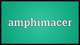 Amphimacer Meaning [upl. by Hickie]