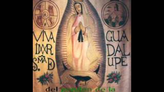 Himno Guadalupano [upl. by Eizzik]