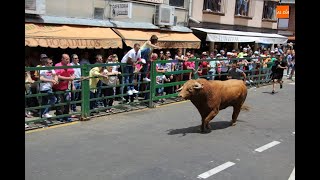 Encierro sábado de Corpus en Vitigudino [upl. by Ramos741]