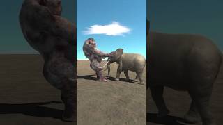 Goro vs Elephant [upl. by Norrab]