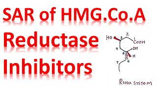 SAR Of HMG CO A Reductase Inhibitors  medicinal chemistry [upl. by Savannah]