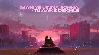 Mahiye Jinna Sohna x Tu Aake Dekhle  Mashup  DarshanRavalDZ King  Latest Bollywood Mashup [upl. by Uolymme]