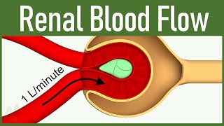 06 Renal Blood Flow [upl. by Xerxes222]