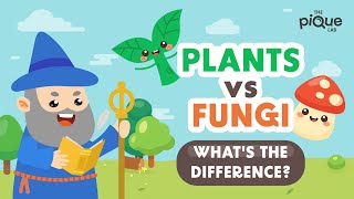 Plants VS Fungi Whats The Difference  Primary School Science Animation [upl. by Weasner]