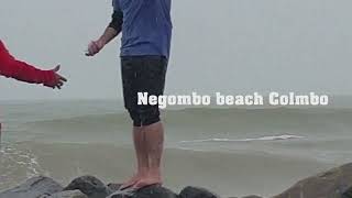 Negombo Beach Colombo Sri Lanka l What a Beach [upl. by Annayhs776]