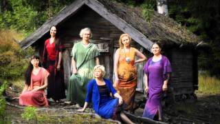 Finnish Folk Song by MeNaiset  Morsiamen Itketys the Brides Weeping [upl. by Gahan]