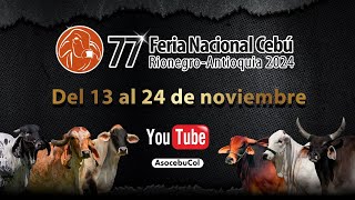 77° Feria Nacional Cebú Rionegro  Antioquia 2024  Día 3 [upl. by Ecirtam]