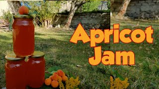 Apricot Jam  Preservative free  Organic homemade Jam  Disket Chilling [upl. by Auqenwahs91]