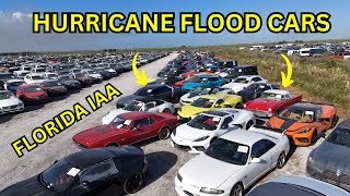 Tons of Hurricane Flooded Super Cars Florida IAA Worth Bidding on [upl. by Anelat308]