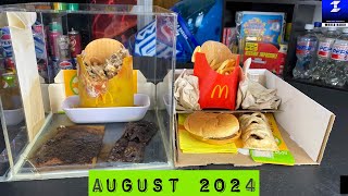 4 Years and 3 Months Old McDonald’s Food [upl. by Suqram216]