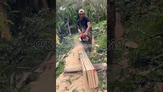 Amazing skill cutting wood shorts [upl. by Arihday]