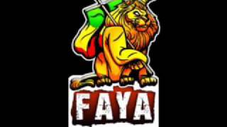 30 Minutes de Mix reggae ragga pour le wwwfayariddimcom by dready selekta [upl. by Eiramyma]