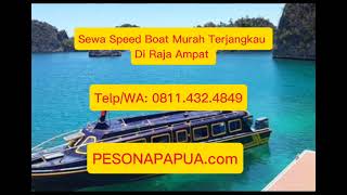 TelpWA 08114324849 Sewa Speed Boat Dijamin Tercepat juga murah terjangkau Di Raja Ampat [upl. by Adivad]