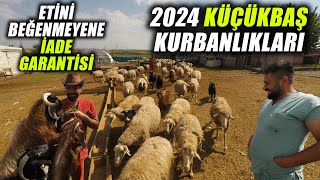 2024 Yılı Küçükbaş Kurbanlık Arayanlar Ankarada Aradıklarını Bulacaklar [upl. by Drusilla]