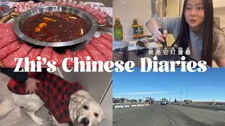 Chinese vlog Learn Chinese pick up packages home cooking and fly to meet my family✨ [upl. by Poland]