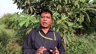 English grow any Crop Rs1000 waste decomposer of NCOF WDC [upl. by Irik]