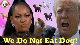 Garcelle Beauvais Speaks Out Amid False Claims About Haitians Immigrants Eating Pets [upl. by Beedon]