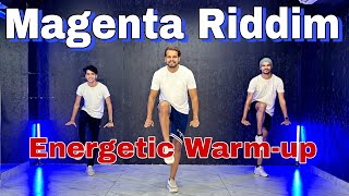 Magenta Riddim  DJ Snake  Warmup Routine  Fitness  Akshay Jain Choreography [upl. by Garibald]