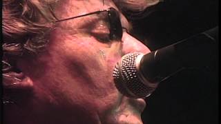 STEVE MILLER Serenade 2007 LiVe [upl. by Noned]