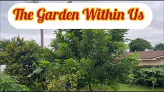 How the Garden Helps us Cultivate Mindfulnessthecharlesftlaudgarden [upl. by Havens]